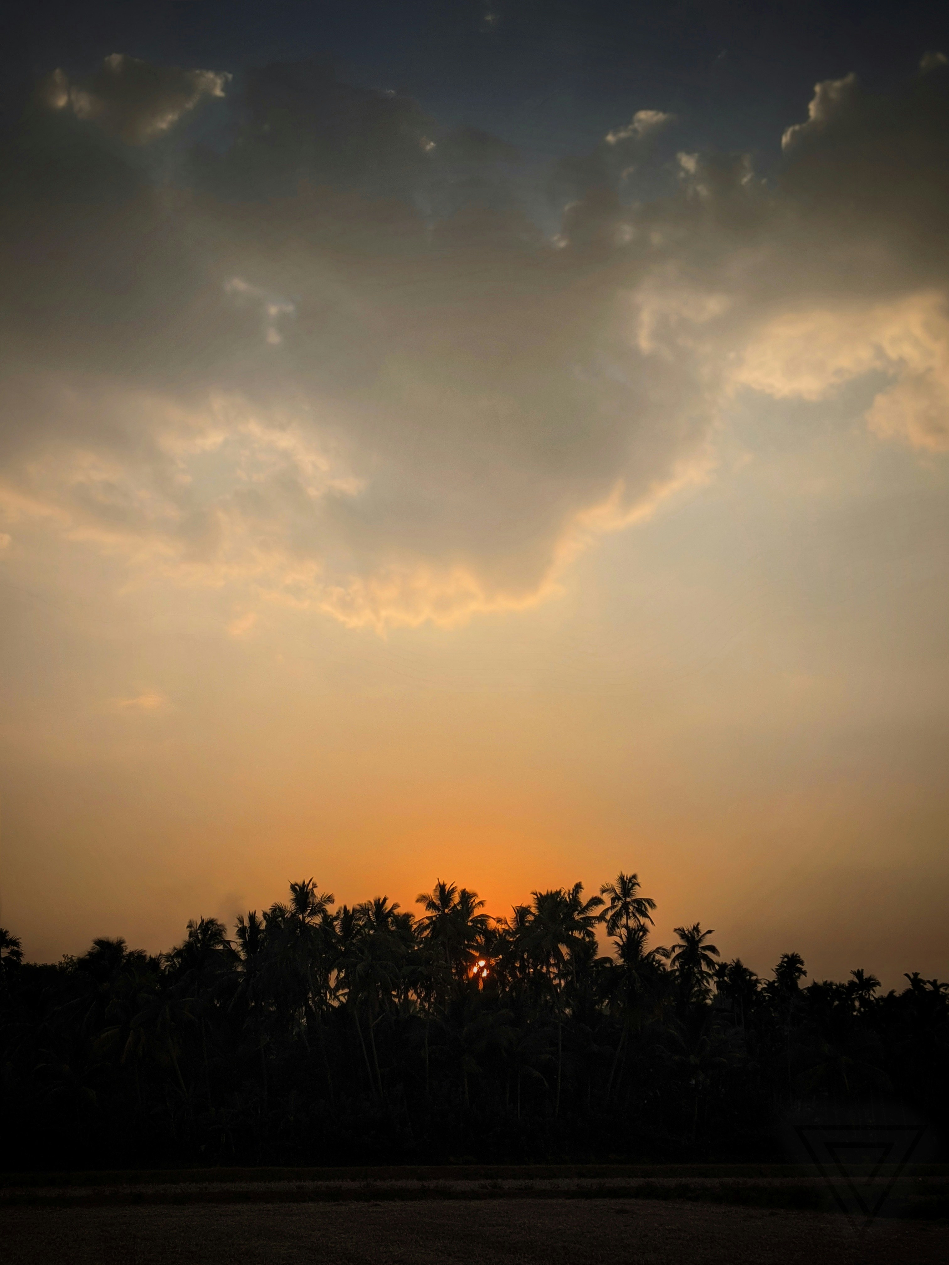 Paddy fields — Kerala countryside near Sovnear